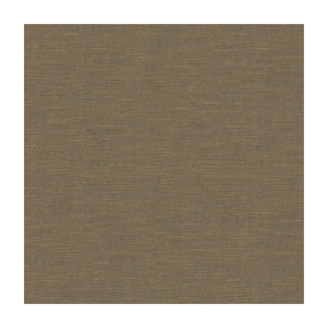 Kravet Design Fabric Venetian Putty RAYON - 49%;COTTON - 42%;POLYESTER - 9% United States HEAVY Horizontal: and Vertical: 54 - My Fabric Connection -