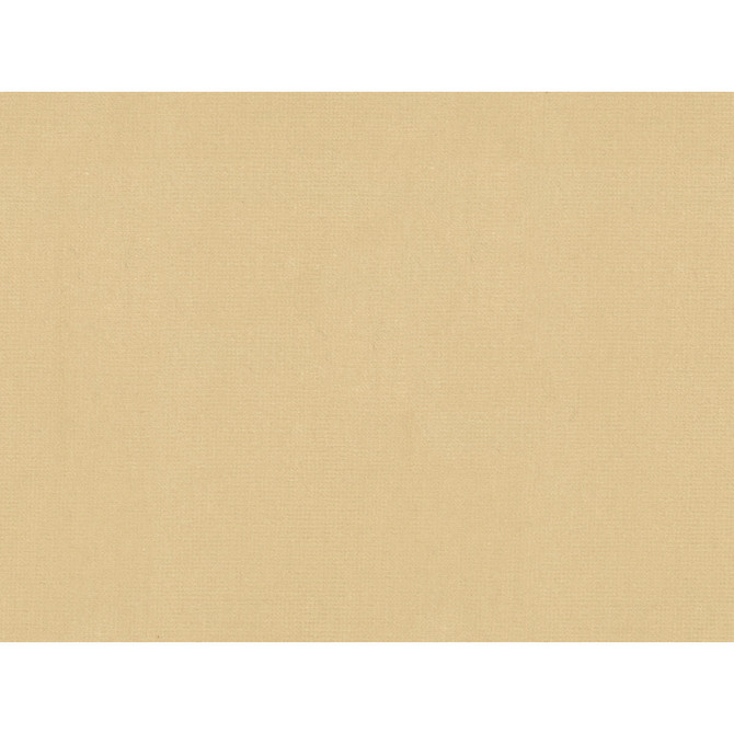 Kravet Couture Fabric Statuesque Cream - COTTON - 100% Italy HEAVY Horizontal: - and Vertical: - 55 - My Fabric Connection -