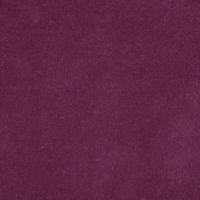 Kravet Design Fabric 35366-10 - COTTON - 100% Netherlands HEAVY Horizontal: 0 and Vertical: 0 55 - My Fabric Connection -