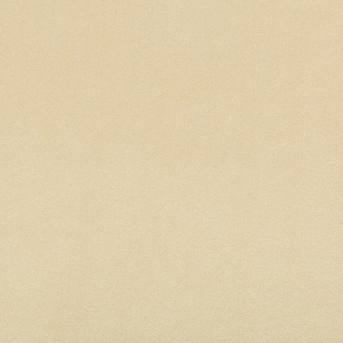 Kravet Contract Fabric Madison Velvet Papyrus - POLYESTER - 100% Turkey HEAVY Horizontal: - and Vertical: - 55 - My Fabric Connection -