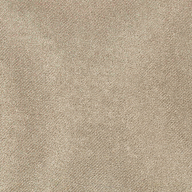 Kravet Contract Fabric Madison Velvet Porcini POLYESTER - 100% Turkey HEAVY Horizontal: and Vertical: 55 - My Fabric Connection -