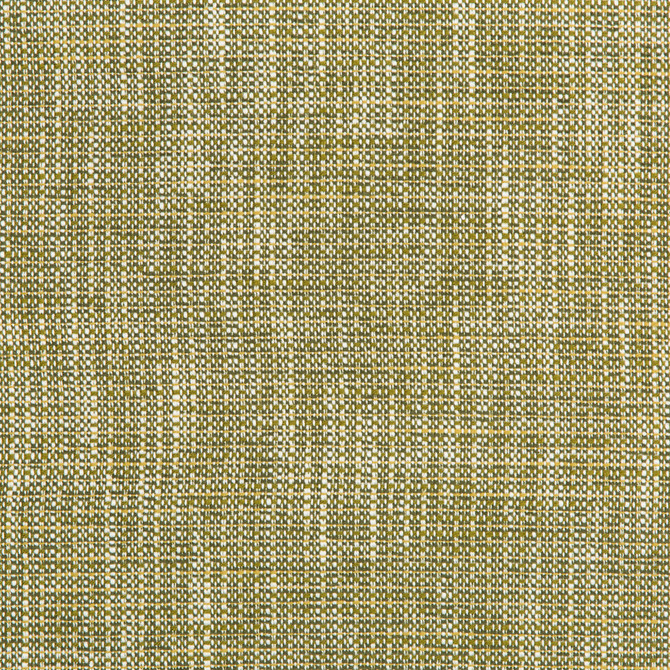 Kravet Contract Fabric River Park Meadow GIS CRYPTON POLYESTER - 94%;RECYCLED POLYESTER - 6% United States HEAVY Horizontal: and Vertical: 55 - My Fabric Connection -