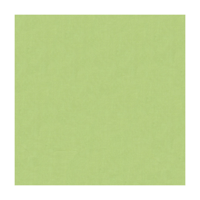 Kravet Design Fabric 4070-330 SILK - 100% India Horizontal: and Vertical: 53.5 - My Fabric Connection -