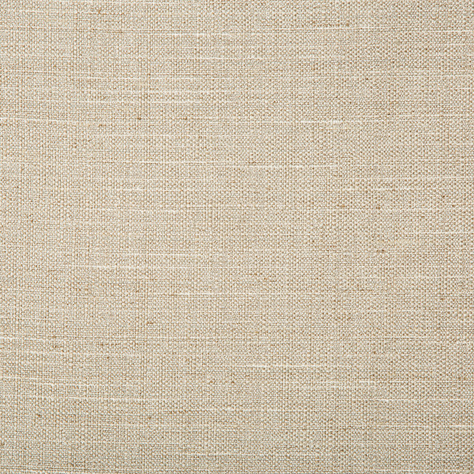 Kravet Basics Fabric 4665-106 POLYESTER - 83%;RAYON - 12%;COTTON - 5% India HEAVY Horizontal: 0 and Vertical: 0 55 - My Fabric Connection -