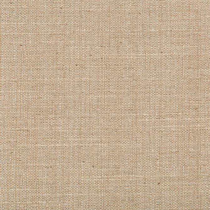 Kravet Basics Fabric 4665-16 POLYESTER - 83%;RAYON - 12%;COTTON - 5% India HEAVY Horizontal: 0 and Vertical: 0 55 - My Fabric Connection -