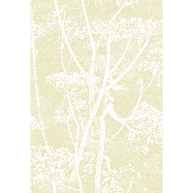 Cole & Son Wallcovering Cow Parsley Straw/White CONTEMPORARY RESTYLED PAPER - 100% United Kingdom - Horizontal: 21 and Vertical: 30 21 - My Fabric Connection -