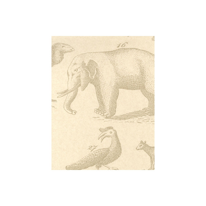 Kravet Couture Wallcovering Ark Sand ANDREW MARTIN MUSEUM PAPER - 100% United Kingdom - Horizontal: - and Vertical: 26.5 20.5 - My Fabric Connection -