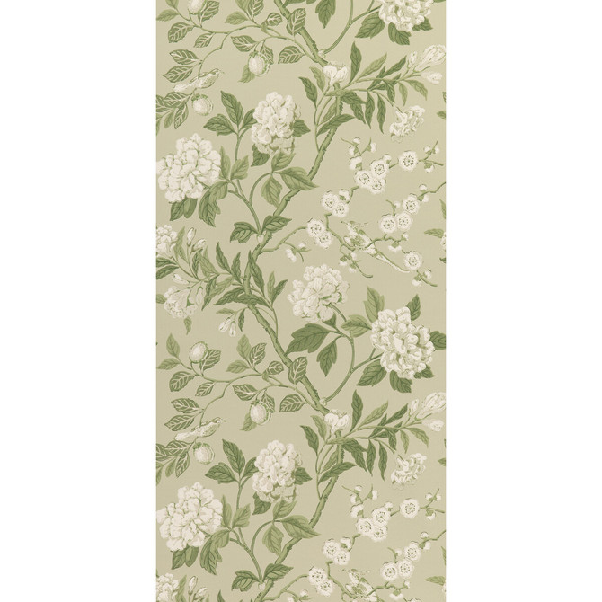G P & J Baker Wallcovering Emperor'S Garden Soft Green SIGNATURE II WALLPAPERS PAPER - 100% United Kingdom - Horizontal: 20.488 and Vertical: 24.034 20.488 - My Fabric Connection -