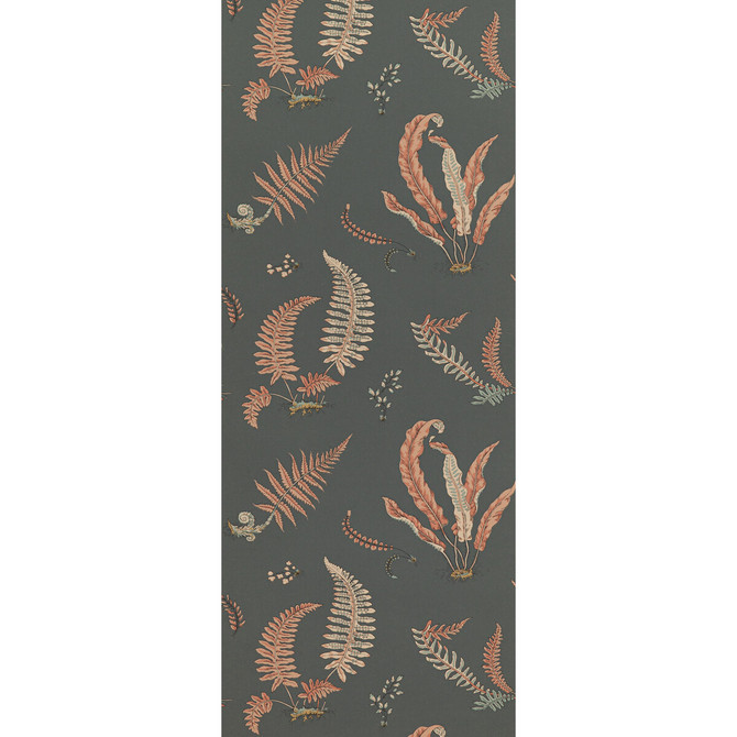 G P & J Baker Wallcovering Ferns Coral/Charcoal Wallcovering NON WOVEN - 100% United Kingdom </p><p>Repeat: H: 20.488, V: 20.882 20.488 - My Fabric Connection -