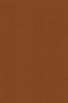 Kravet Design Fabric Desire-606 - NYTEK - 100% Japan HEAVY Horizontal: 0 and Vertical: 0 54 - My Fabric Connection -