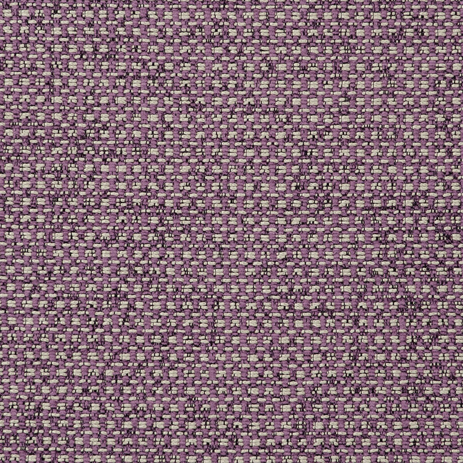 Clarke And Clarke Fabric Casanova Orchid CLARKE & CLARKE CASANOVA POLYESTER - 65%;VISCOSE - 35% Turkey HEAVY Horizontal: 0 and Vertical: 0 54 - My Fabric Connection -