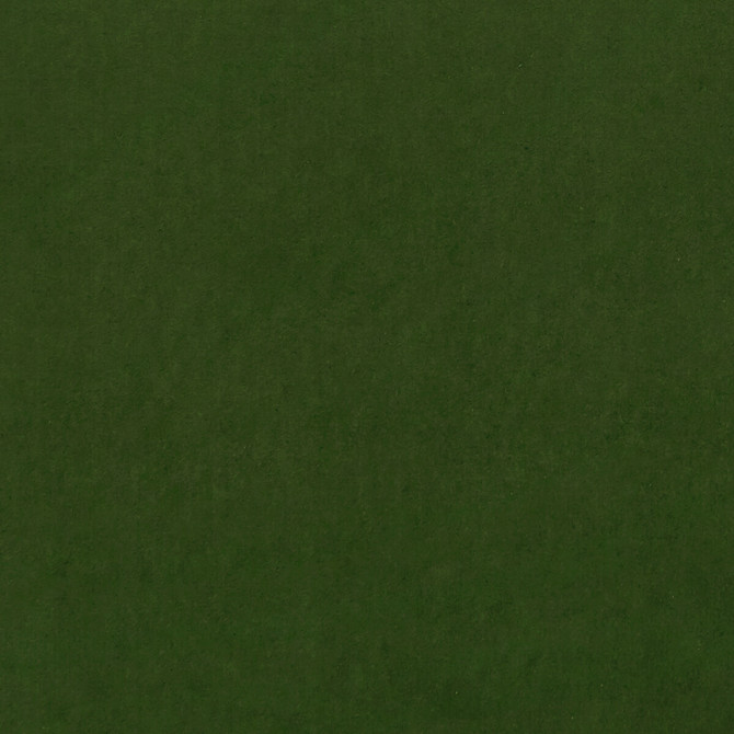 Clarke And Clarke Fabric Alvar Chive CLARKE & CLARKE ALVAR POLYESTER - 100% China HEAVY Horizontal: 0 and Vertical: 0 57 - My Fabric Connection -