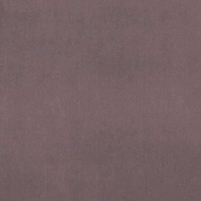 Clarke And Clarke Fabric Alvar Amethyst CLARKE & CLARKE ALVAR 2 POLYESTER - 100% China HEAVY Horizontal: 0 and Vertical: 0 56.75 - My Fabric Connection -