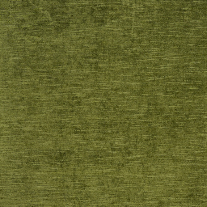 Clarke And Clarke Fabric Carlo Olive CLARKE & CLARKE PALLADIO VISCOSE - 70%;POLYESTER - 30% Turkey HEAVY Horizontal: 0 and Vertical: 0 54 - My Fabric Connection -