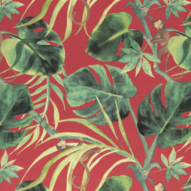Clarke And Clarke Fabric Monkey Business Rouge CLARKE & CLARKE COLONY COTTON - 60%;LINEN - 40% Spain HEAVY Horizontal: 17.99 and Vertical: 17.52 54 - My Fabric Connection -