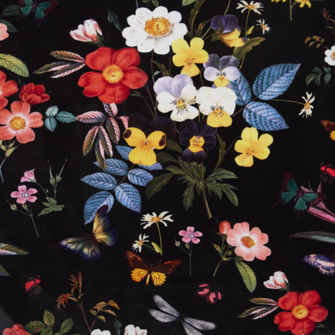Clarke And Clarke Fabric Ava Velvet Velvet Black CLARKE & CLARKE OASIS WP & FABRIC POLYESTER - 100% Spain HEAVY Horizontal: and Vertical: 54.375 - My Fabric Connection -
