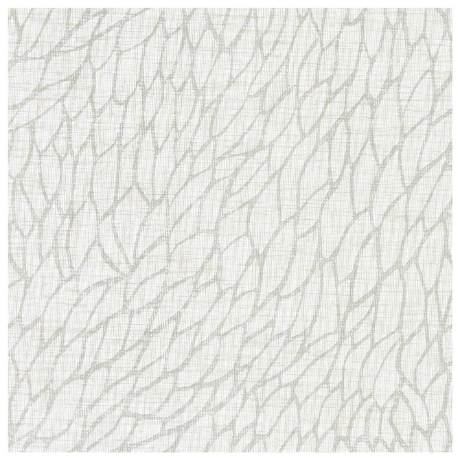 Clarke And Clarke Fabric Corallino Sheer Chalk/Silver CLARKE & CLARKE LUSSO SHEERS POLYESTER - 100% Turkey - Horizontal: 9.84 and Vertical: 22.05 117 - My Fabric Connection -