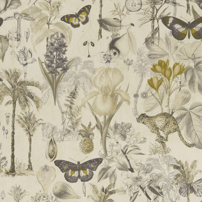 Clarke And Clarke Fabric Botany Charcoal/Chartreuse CLARKE & CLARKE EXOTICA COTTON - 100% India HEAVY Horizontal: 27.125 and Vertical: 27.125 55.125 - My Fabric Connection -