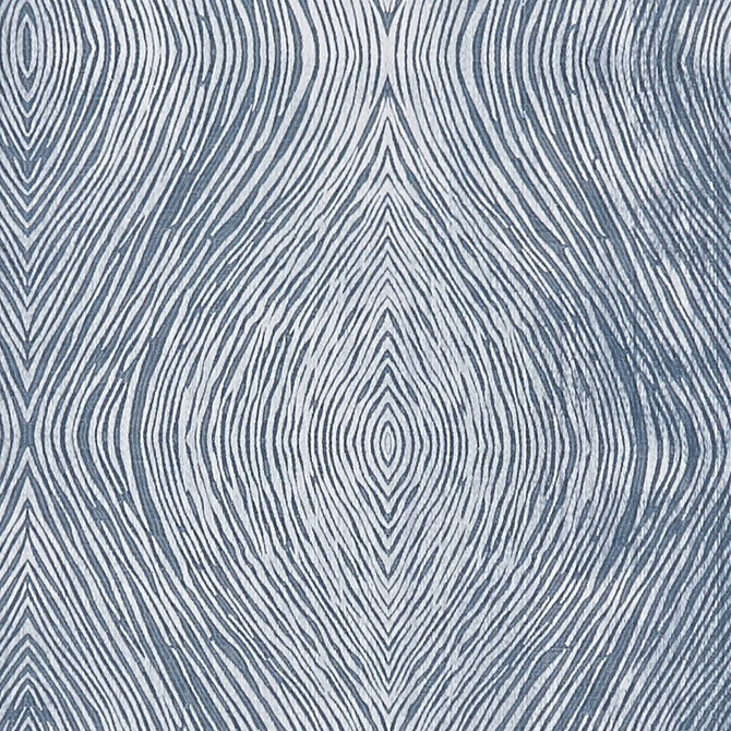 Clarke And Clarke Fabric Luster Denim CLARKE & CLARKE DIFFUSION POLYESTER - 58%;COTTON - 42% India Horizontal: 9.125 and Vertical: 9.625 54.75 - My Fabric Connection -