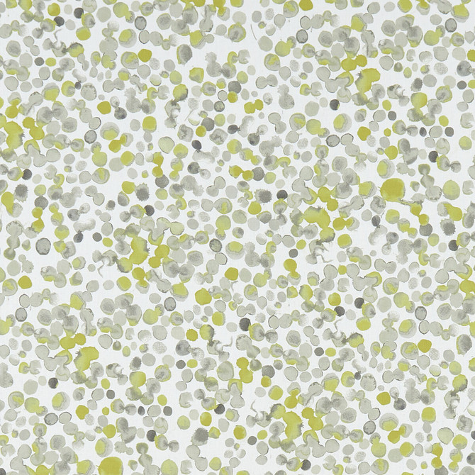 Clarke And Clarke Fabric Lugar Chartreuse CLARKE & CLARKE PALMERO COTTON - 100% Spain MEDIUM Horizontal: 13.625 and Vertical: 27.625 54 - My Fabric Connection -
