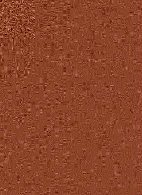 Kravet Design Fabric Fortune-24 - NYTEK - 100% Japan LIGHT Horizontal: 0 and Vertical: 0 54 - My Fabric Connection -