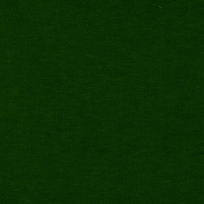 Gaston Y Daniela Fabric Meres Verde Fabric TREVIRA - 100% Italy HEAVY </p><p>Repeat: H: 0, V: 0 55.1 - My Fabric Connection -