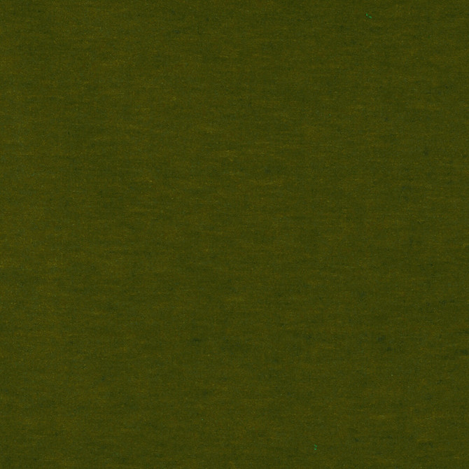 Gaston Y Daniela Fabric Meres Verde Claro LORENZO CASTILLO V TREVIRA - 100% Italy HEAVY Horizontal: 0 and Vertical: 0 55.1 - My Fabric Connection -