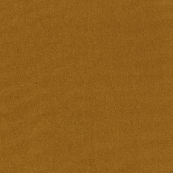 Kravet Design Fabric Eternal 5 LIZZO COTTON - 100% Spain HEAVY Horizontal: 0 and Vertical: 0 55 - My Fabric Connection -