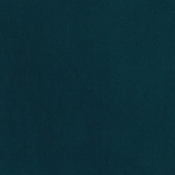 Kravet Design Fabric Eternal 14 LIZZO COTTON - 100% Spain HEAVY Horizontal: 0 and Vertical: 0 55 - My Fabric Connection -