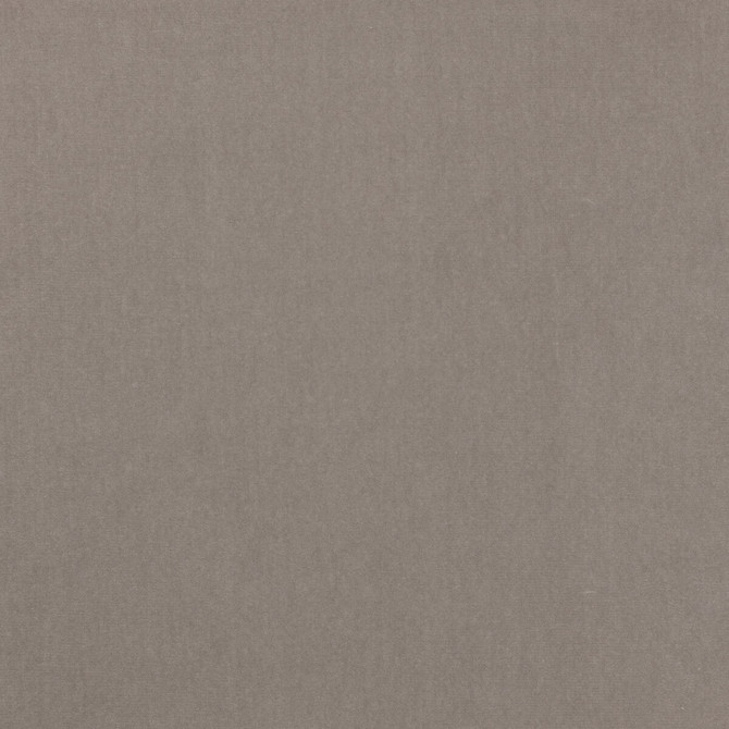 Kravet Design Fabric Eternal 16 LIZZO COTTON - 100% Spain HEAVY Horizontal: 0 and Vertical: 0 55 - My Fabric Connection -