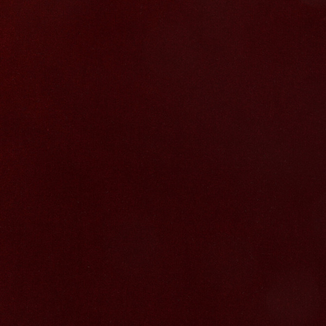 Kravet Design Fabric Eternal 22 LIZZO COTTON - 100% Spain HEAVY Horizontal: 0 and Vertical: 0 55 - My Fabric Connection -