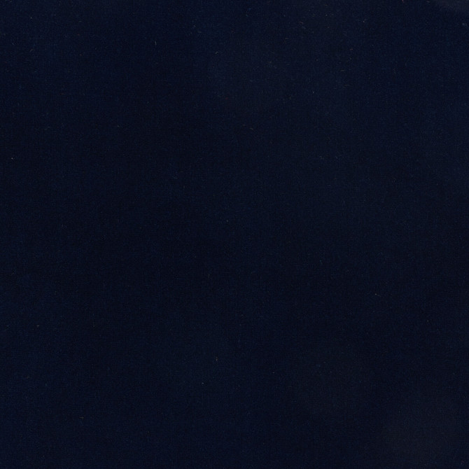 Kravet Design Fabric Eternal 34 LIZZO COTTON - 100% Spain HEAVY Horizontal: 0 and Vertical: 0 55 - My Fabric Connection -