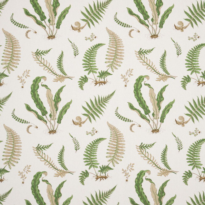 G P & J Baker Fabric Ferns Linen Stone/Green PERENNIA LINEN - 60%;COTTON - 20%;VISCOSE - 20% United Kingdom - Horizontal: 26.989 and Vertical: 24.822 53.978 - My Fabric Connection -