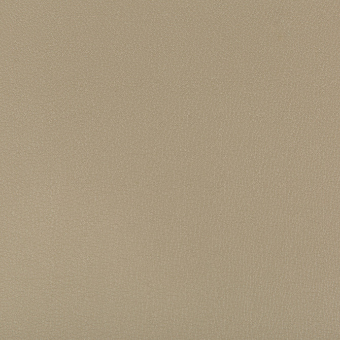 Kravet Contract Fabric Syrus Elm SILICONE - 100% China HEAVY Horizontal: 0 and Vertical: 0 55 - My Fabric Connection -