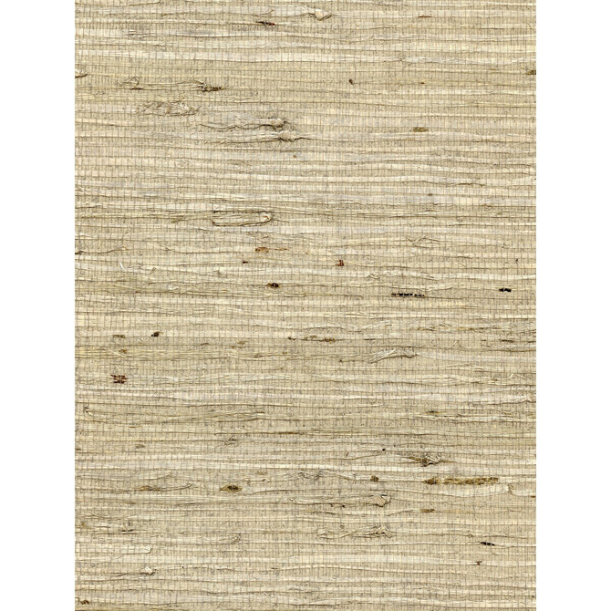 Winfield Thybony Wallcovering Concerto Fawn WINFIELD THYBONY ARROWROOT - 100% United States - Horizontal: 0 and Vertical: 0 36 - My Fabric Connection -