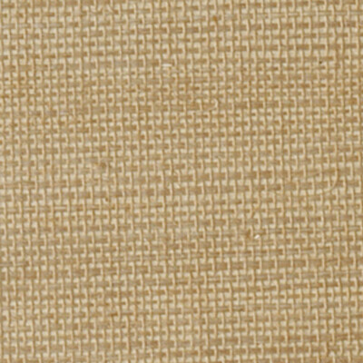 Winfield Thybony Wallcovering WOC2423.WT.0 Wallcovering GRASS - 100% China </p><p>Repeat: H: 0, V: 0 36 - My Fabric Connection -