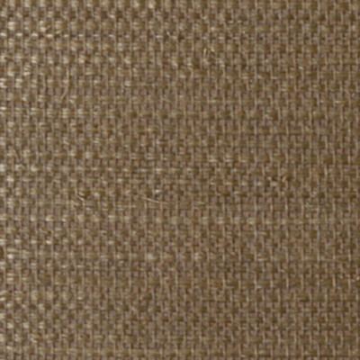 Winfield Thybony Wallcovering WOC2431.WT.0 Wallcovering GRASS - 100% China </p><p>Repeat: H: 0, V: 0 36 - My Fabric Connection -