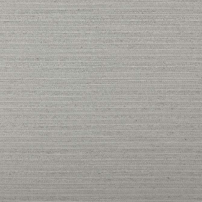 Maxwell Fabric Darwin # 704 Feather Pure & Simple Vii 100% POLYESTER INDIA 55" - My Fabric Connection -