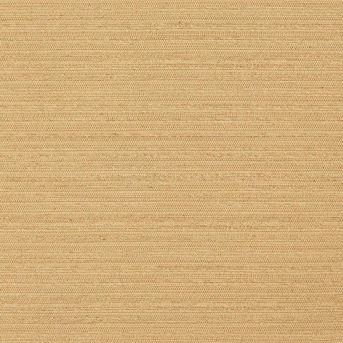 Maxwell Fabric Darwin # 726 Fusion Pure & Simple Vii 100% POLYESTER INDIA 55" - My Fabric Connection -