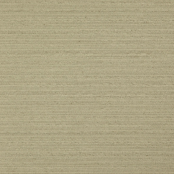 Maxwell Fabric Darwin # 732 Fern PURE & SIMPLE VII 100% POLYESTER INDIA </p><p>Repeat: Horizontal: and Vertical: 55" - My Fabric Connection -