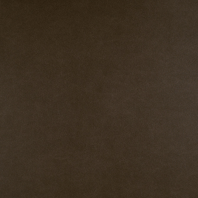 Maxwell Fabric Icon # 722 Cortado Easy Rider Vii FACE: 95% POLYURETHANE/ 5% SILICONE
BACKING: 100% POLYESTER TAIWAN 54" - My Fabric Connection -