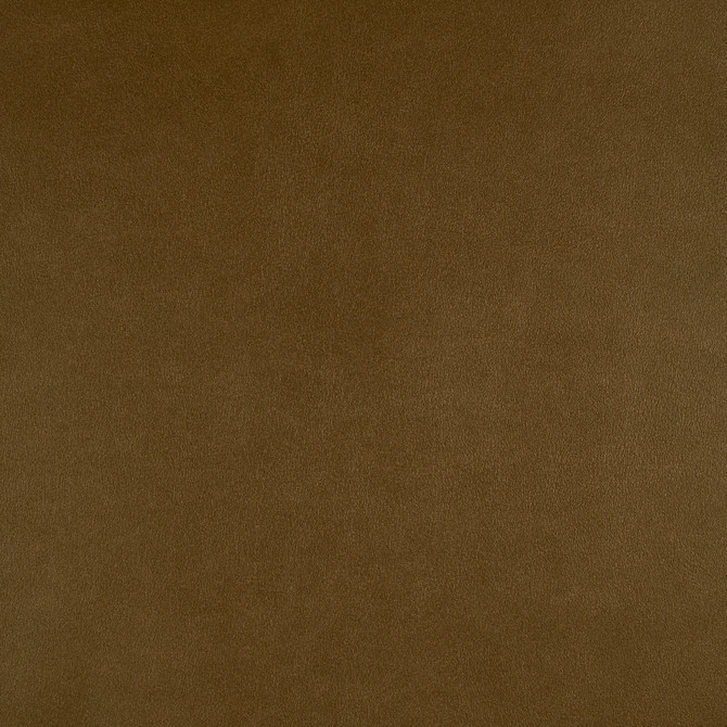 Maxwell Fabric Icon # 727 Aztec Easy Rider Vii FACE: 95% POLYURETHANE/ 5% SILICONE
BACKING: 100% POLYESTER TAIWAN 54" - My Fabric Connection -