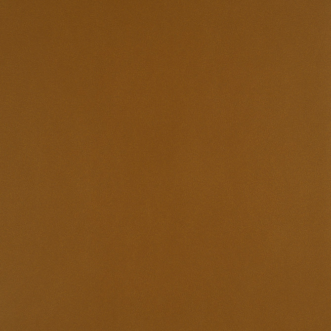 Maxwell Fabric Icon # 729 Butterscotch EASY RIDER VII FACE: 95% POLYURETHANE/ 5% SILICONE
BACKING: 100% POLYESTER TAIWAN 54" - My Fabric Connection -