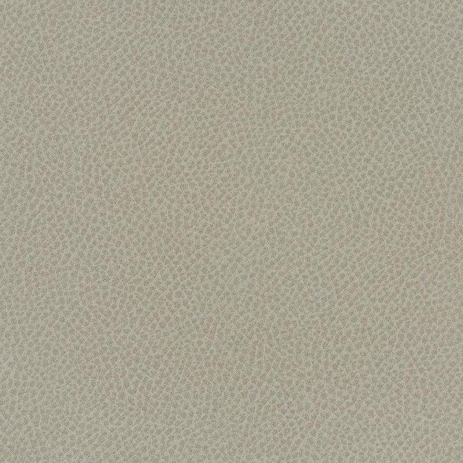Maxwell Fabric Scene # 737 Crater EASY RIDER VII FACE: 95% POLYURETHANE/ 5% SILICONE
BACKING:100% POLYESTER TAIWAN 54" - My Fabric Connection -