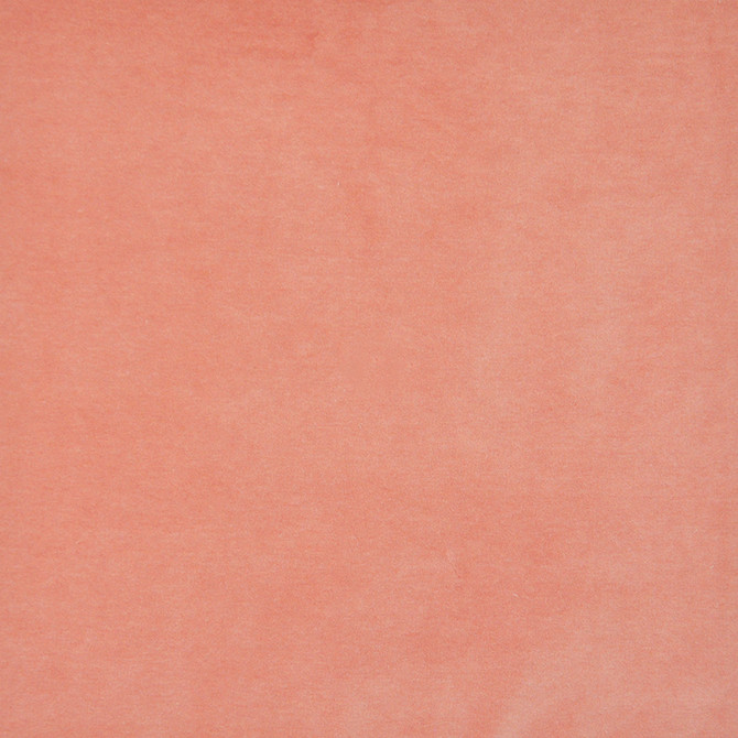 Maxwell Fabric Snug # 401 Coral Performance Velvets-Vol.I 67.2% POLYESTER 32.8% COTTON TURKEY 55" - My Fabric Connection -