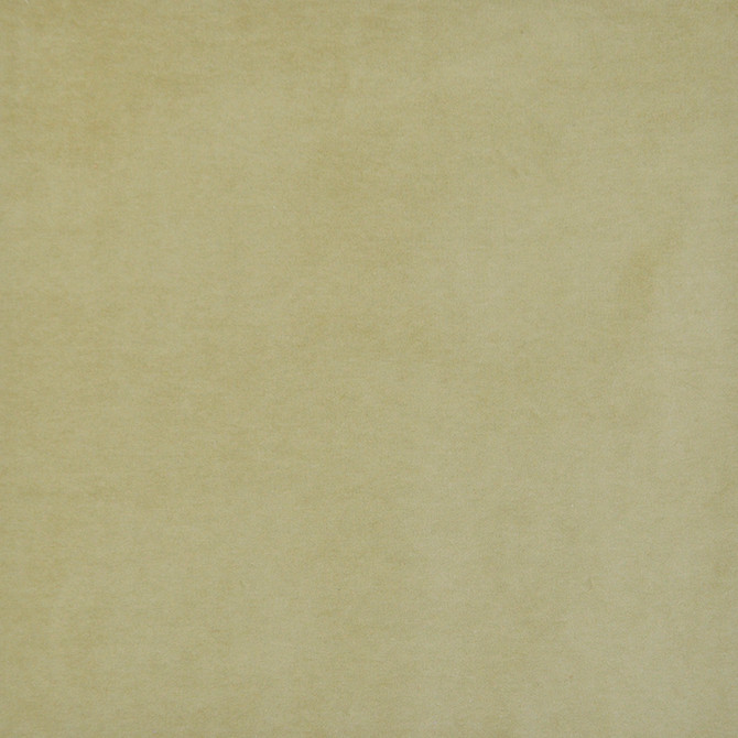 Maxwell Fabric Snug # 420 Moss Performance Velvets-Vol.I 67.2% POLYESTER 32.8% COTTON TURKEY 55" - My Fabric Connection -