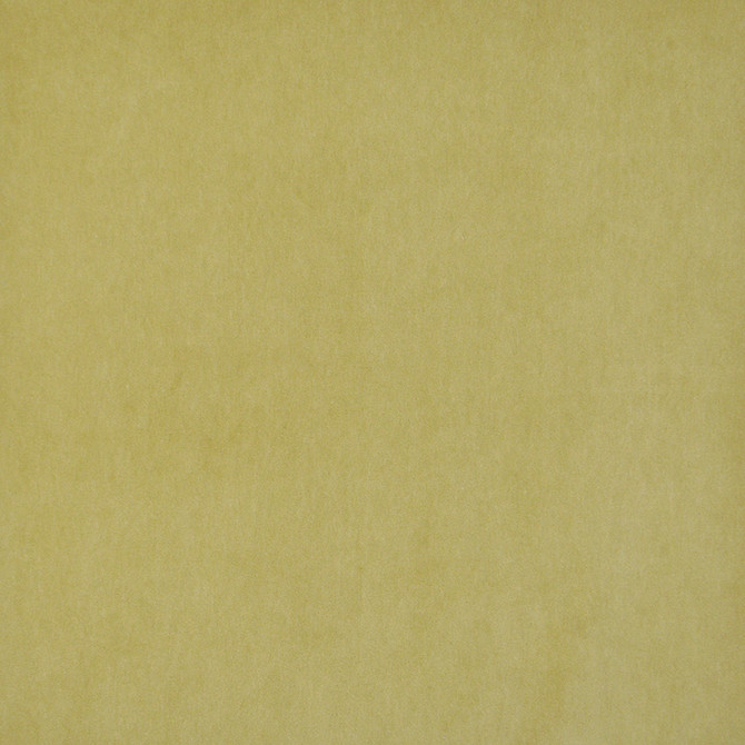 Maxwell Fabric Snug # 424 Citron Performance Velvets-Vol.I 67.2% POLYESTER 32.8% COTTON TURKEY 55" - My Fabric Connection -