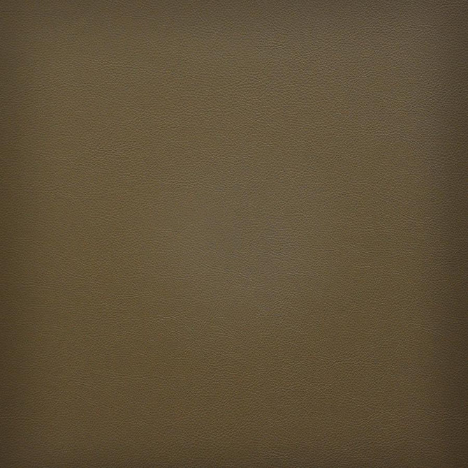 Maxwell Fabric Vesper # 241 Morel Easy Rider Vi 100% PVC TAIWAN 54" - My Fabric Connection -