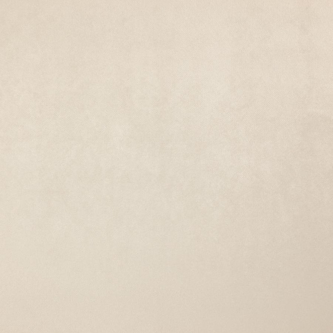 Maxwell Fabric Zurich # 40 Ivory Glam Velvet 100% POLYESTER INDIA 56.75" - My Fabric Connection -