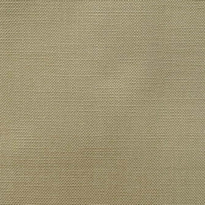 Magnolia Fabric Jagger Artichoke - 100% Cotton India 50000 Horizontal: 0 and Vertical: 0 54" - My Fabric Connection -